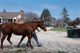 LR-WRF 0402026 Retreat-3339